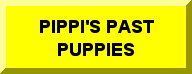 Pippi's Pups